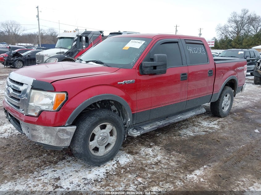 2010 Ford F-150 Xl/Xlt