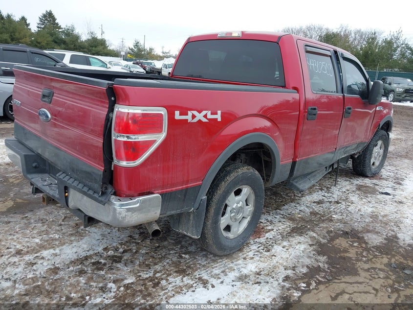 2010 Ford F-150 Xl/Xlt