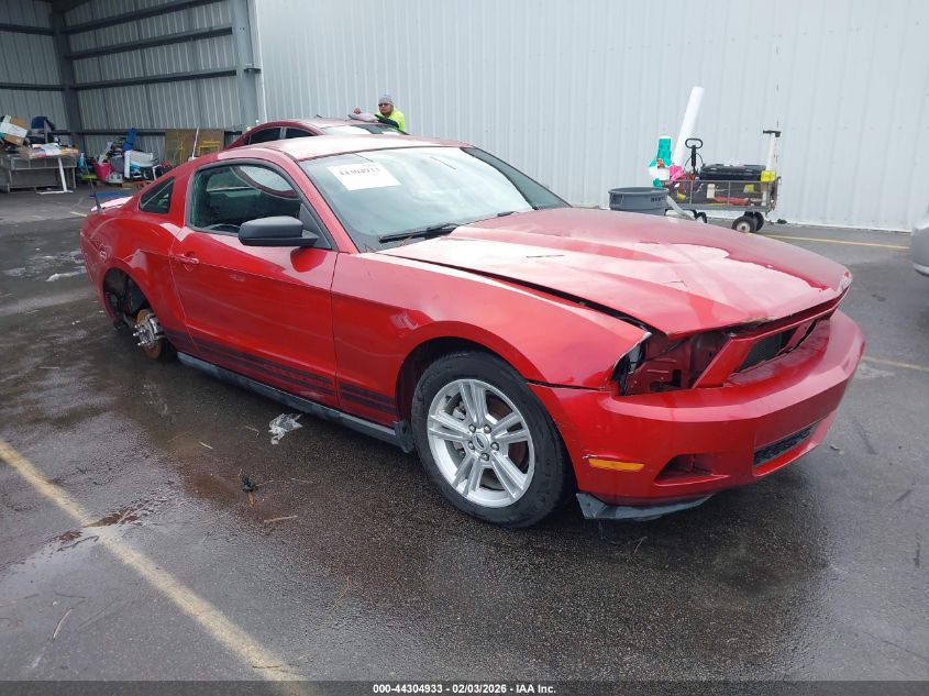 2010 Ford Mustang V6/V6 Premium