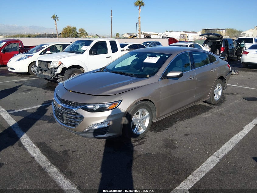 2024 Chevrolet Malibu Fwd 1Lt