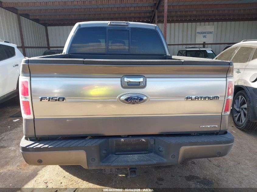 2012 Ford F-150 Platinum VIN: 1FTFW1EFXCFA74474 Lot: 44309502