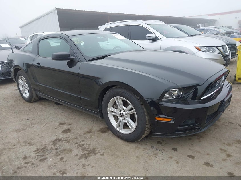 2014 FORD MUSTANG auction photo 1