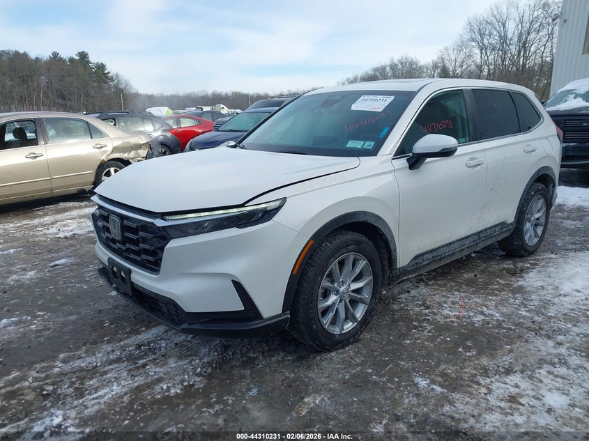 2024 Honda Cr-V Ex Awd