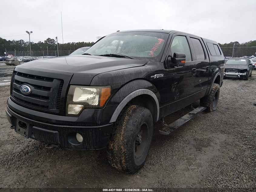 2010 Ford F-150 Fx4/Harley-Davidson/King Ranch/Lariat/Platinum/Xl/Xlt