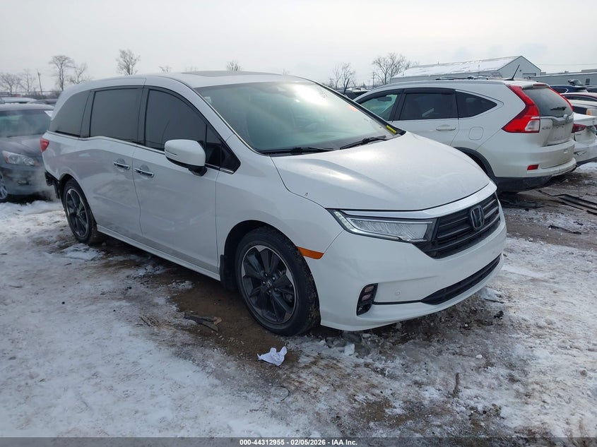 2023 Honda Odyssey Elite