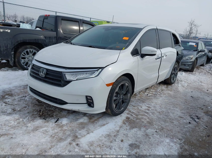 2023 Honda Odyssey Elite