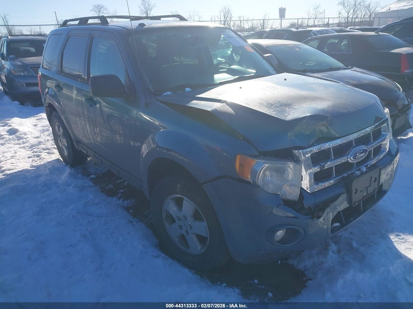 2010 Ford Escape Xlt