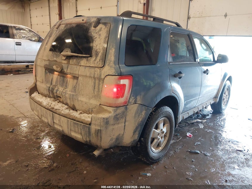 2010 Ford Escape Xlt