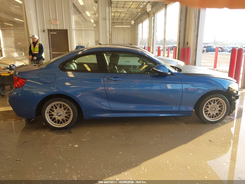 2016 BMW 228I VIN: WBA1F9C5XGV545597 Lot: 44316211