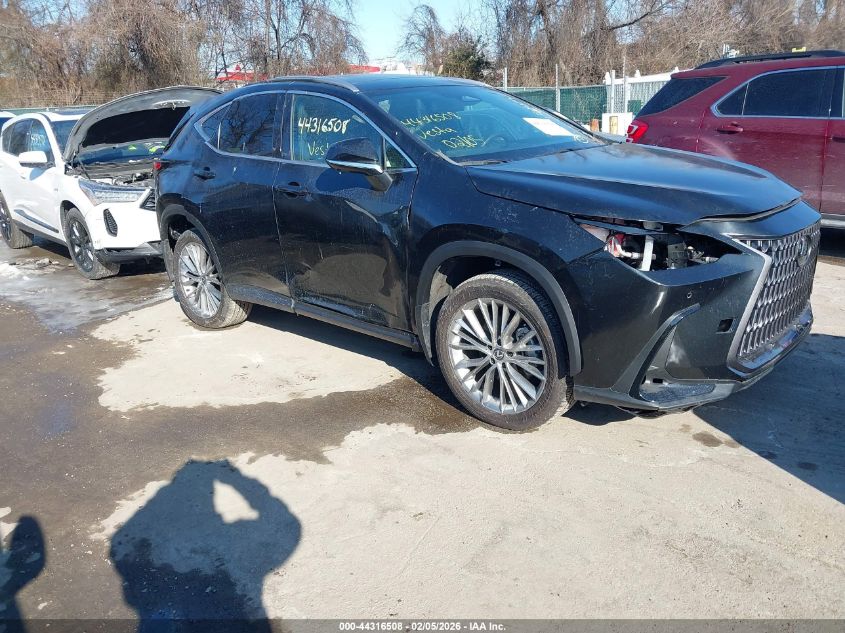 2024 Lexus Nx 350H Luxury