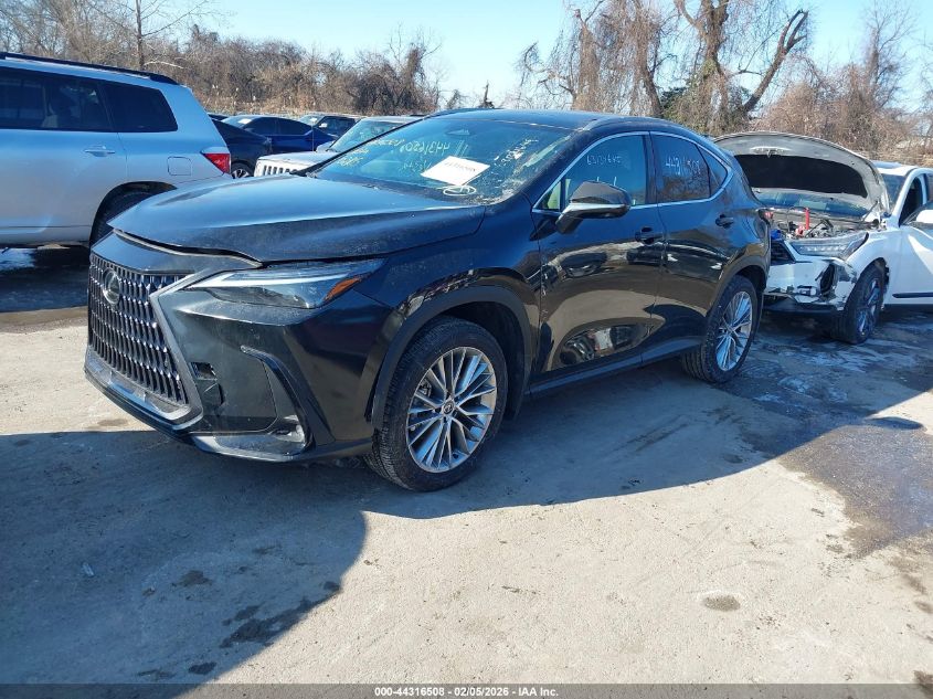 2024 Lexus Nx 350H Luxury