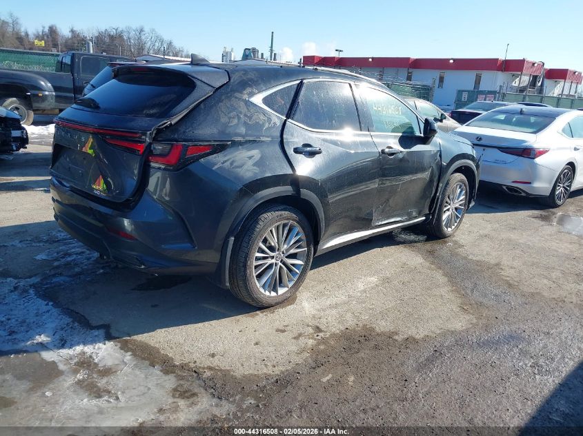 2024 Lexus Nx 350H Luxury