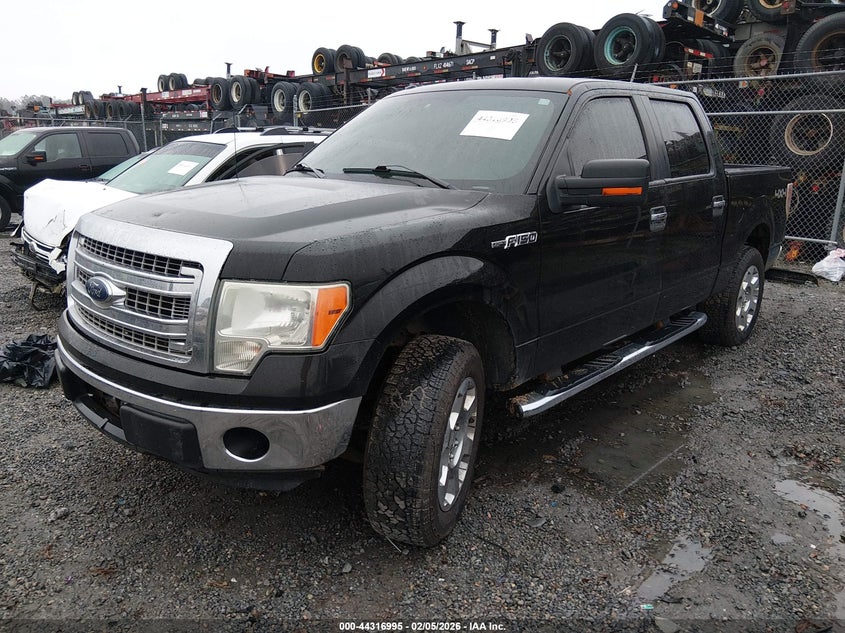 2013 Ford F-150 Xlt