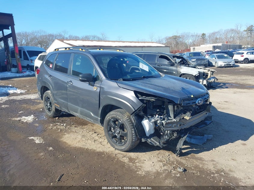 2024 Subaru Forester Wilderness