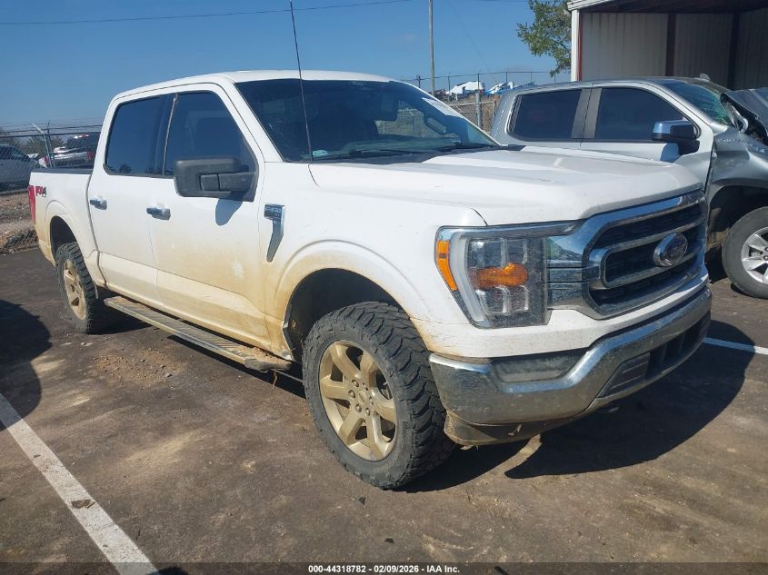 2022 Ford F-150 Xlt