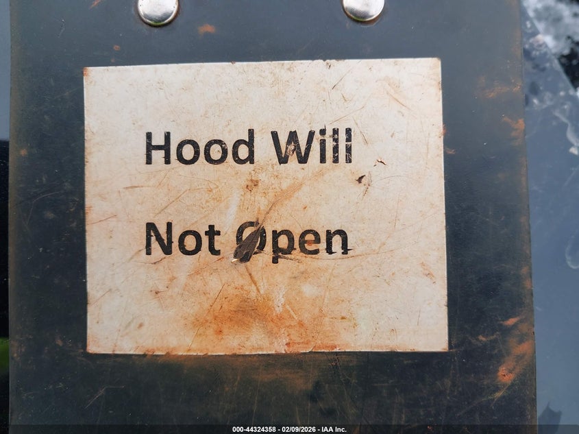 2013 Ford Focus St VIN: 1FADP3L99DL126361 Lot: 44324358