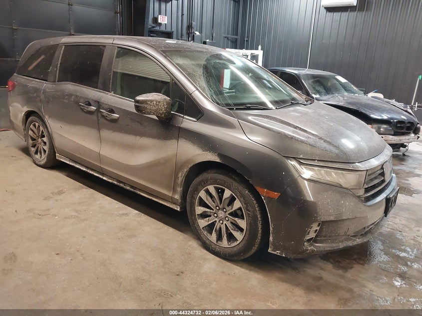 2024 Honda Odyssey Ex-L
