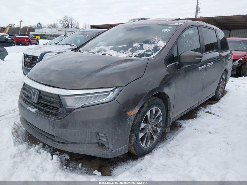 2022 Honda Odyssey Ex-L