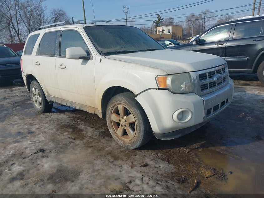 2009 Ford Escape Limited