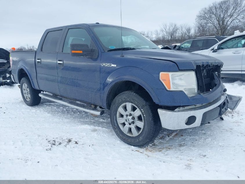 2010 Ford F-150 Fx4/Harley-Davidson/King Ranch/Lariat/Platinum/Xl/Xlt