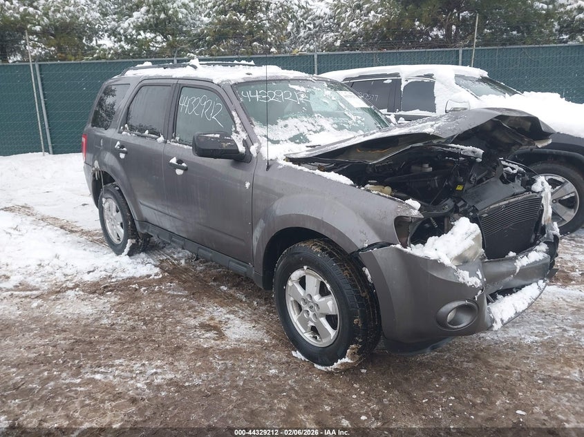 2010 Ford Escape Xlt