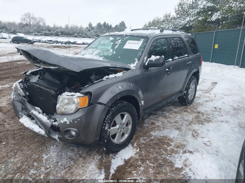 2010 Ford Escape Xlt