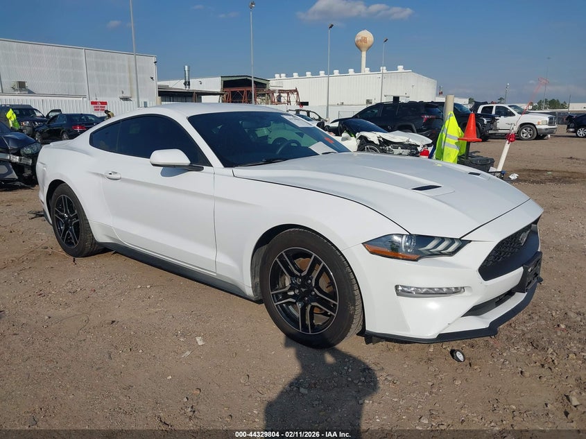 2019 Ford Mustang Ecoboost