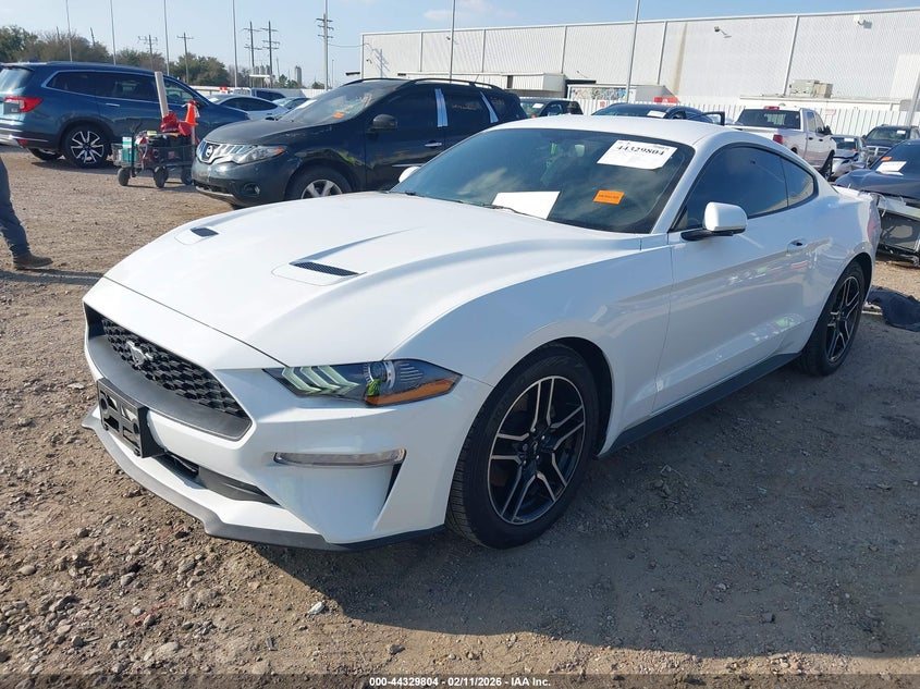 2019 Ford Mustang Ecoboost