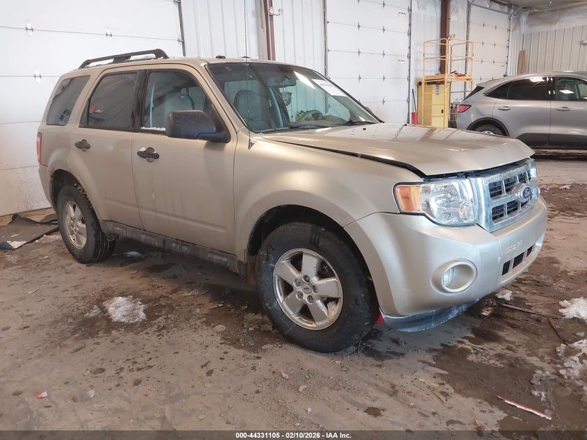 2010 Ford Escape Xlt