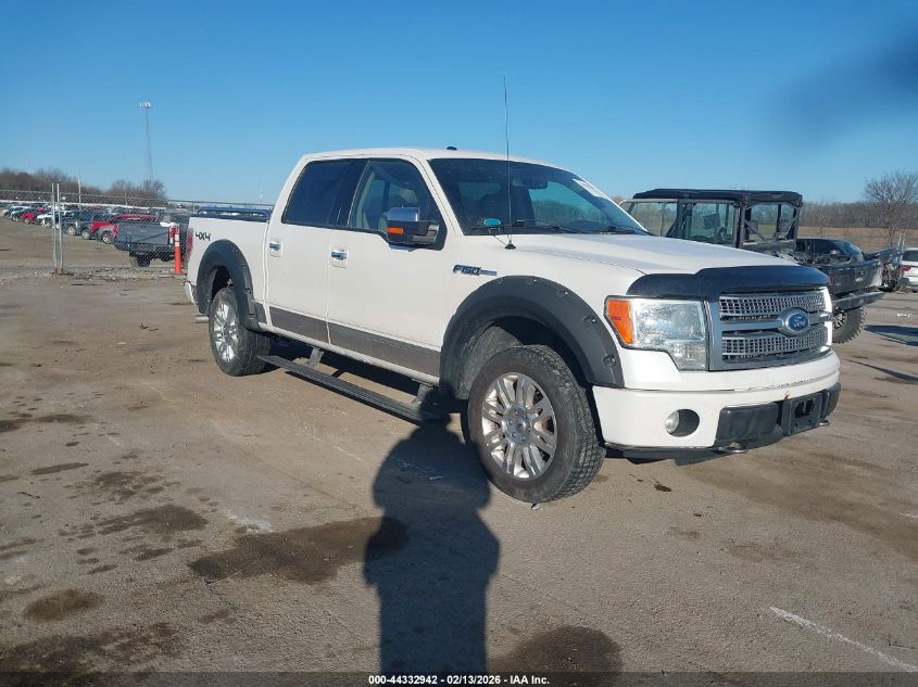 2010 Ford F-150 Fx4/Harley-Davidson/King Ranch/Lariat/Platinum/Xl/Xlt