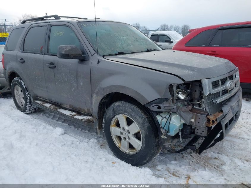 2010 Ford Escape Xlt