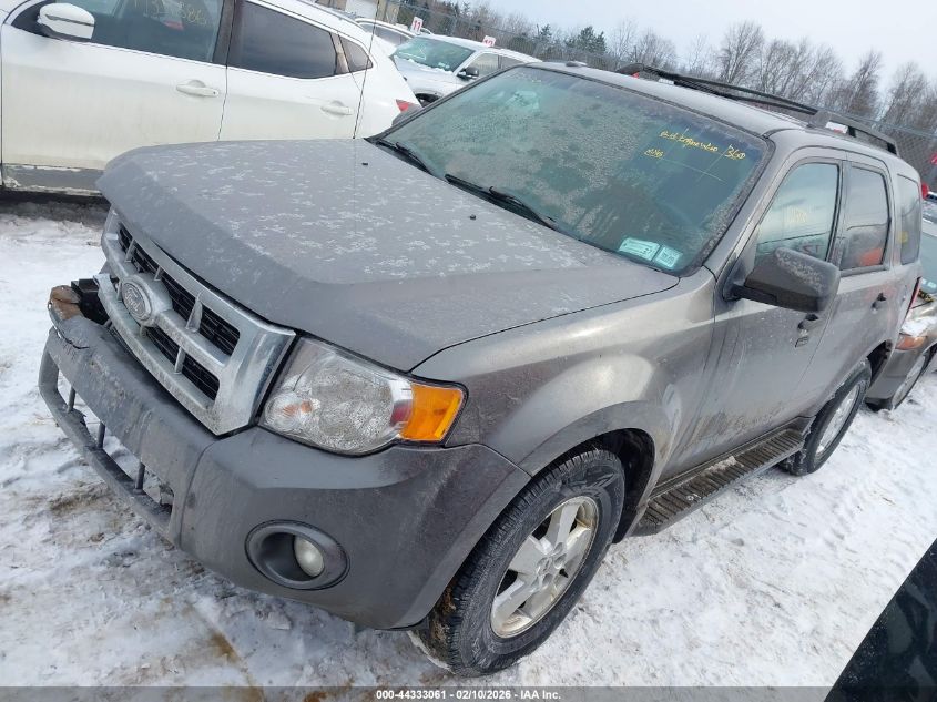 2010 Ford Escape Xlt