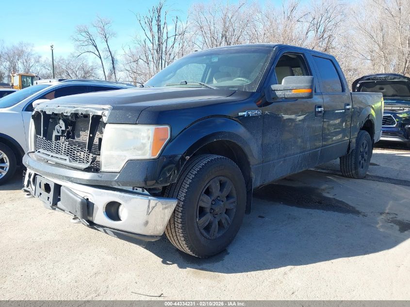 2009 Ford F-150 Fx4/King Ranch/Lariat/Platinum/Xl/Xlt