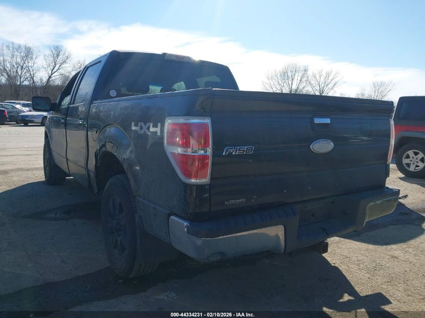 2009 Ford F-150 Fx4/King Ranch/Lariat/Platinum/Xl/Xlt