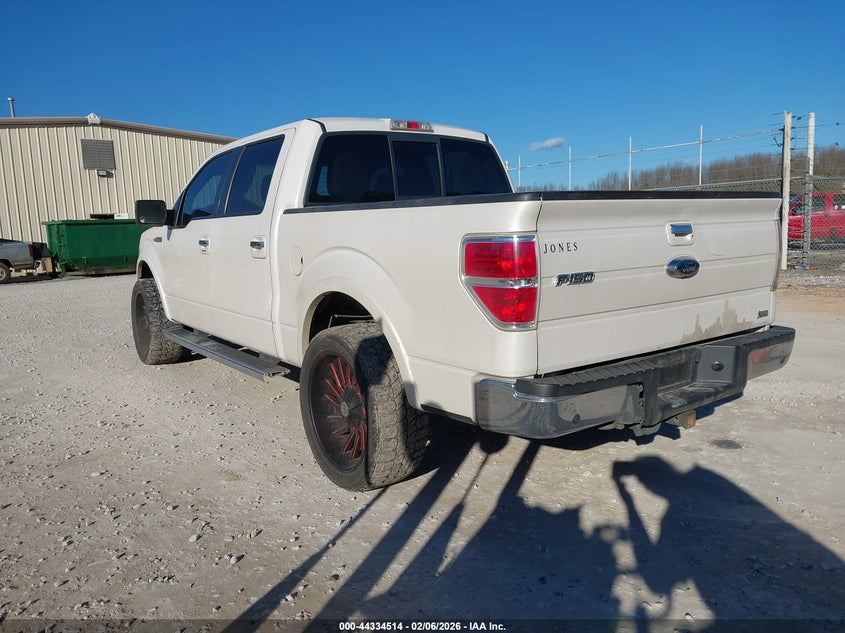 2010 Ford F-150 Fx2 Sport/Harley-Davidson/King Ranch/Lariat/Platinum/Xl/Xlt