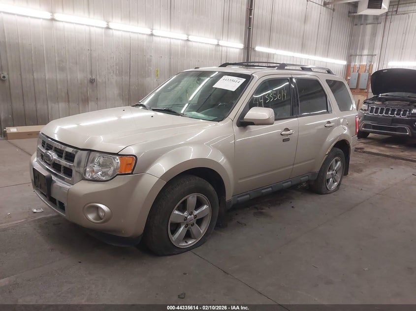 2010 Ford Escape Limited