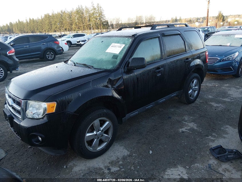 2010 Ford Escape Xlt