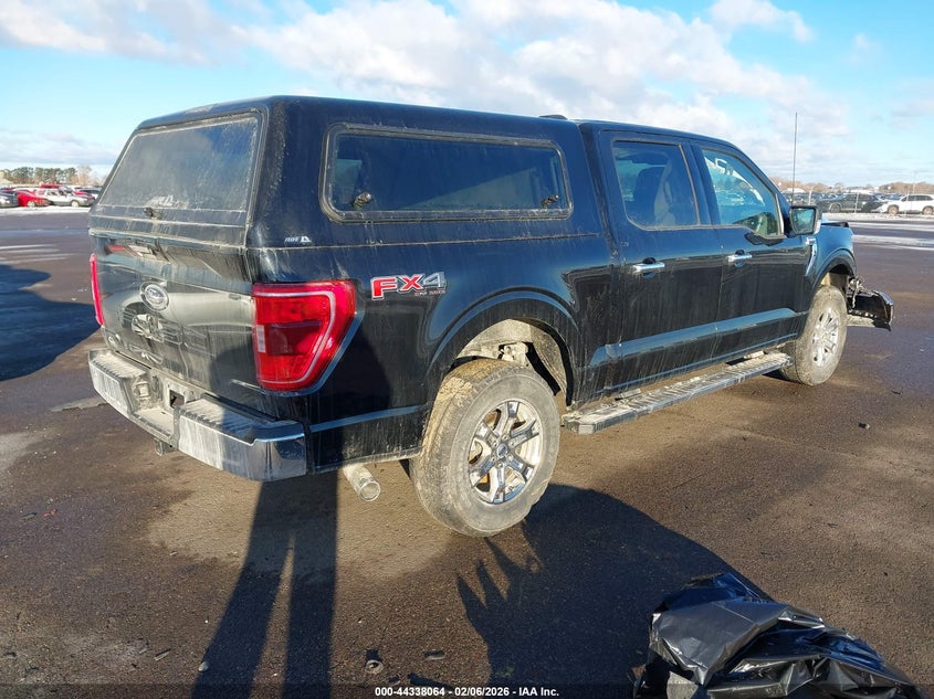 2023 FORD F-150 5.0L V-8 DI, DOHC, V(VIN: 1FTFW1E50PFD03516