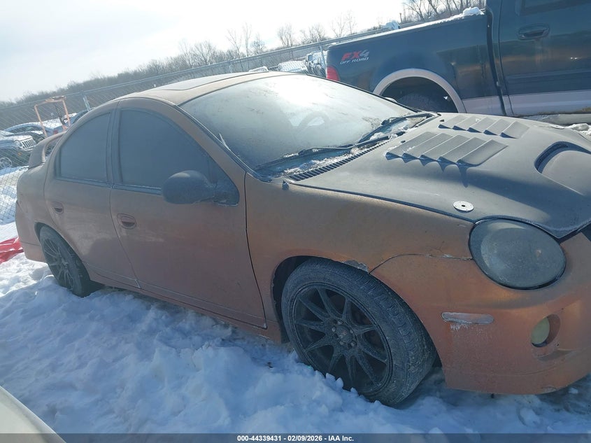 2005 Dodge Srt4 VIN: 1B3AS66SX5D192989 Lot: 44339431