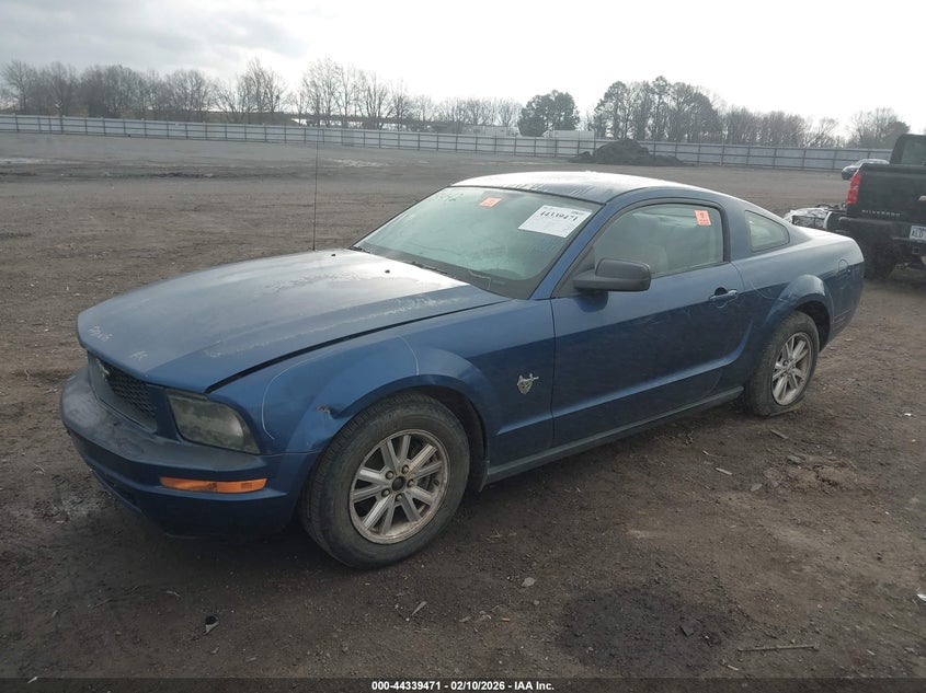2009 Ford Mustang V6/V6 Premium