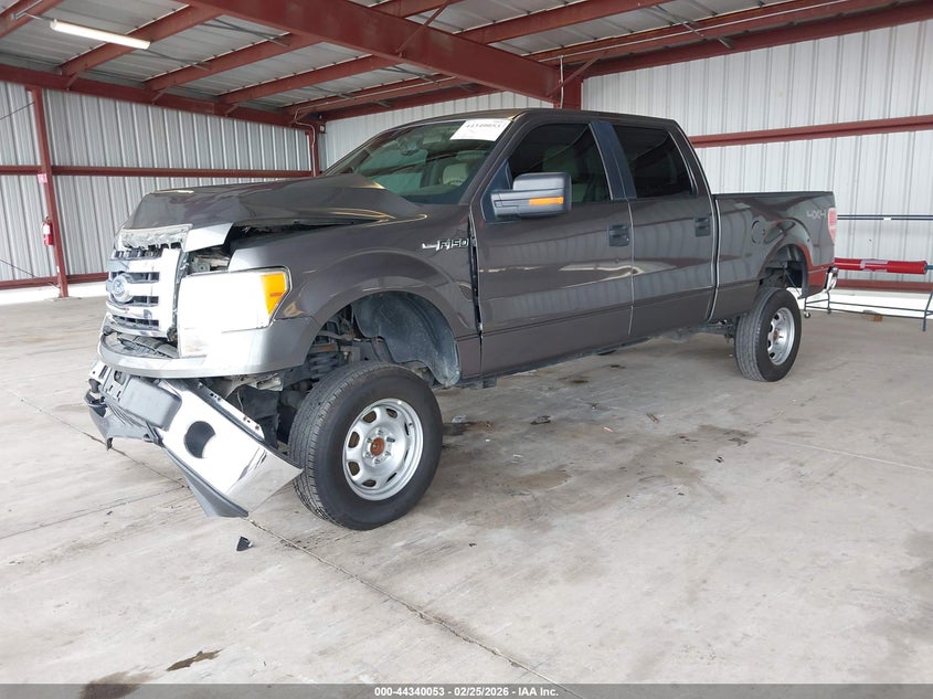 2010 Ford F-150 Fx4/Harley-Davidson/King Ranch/Lariat/Platinum/Xl/Xlt