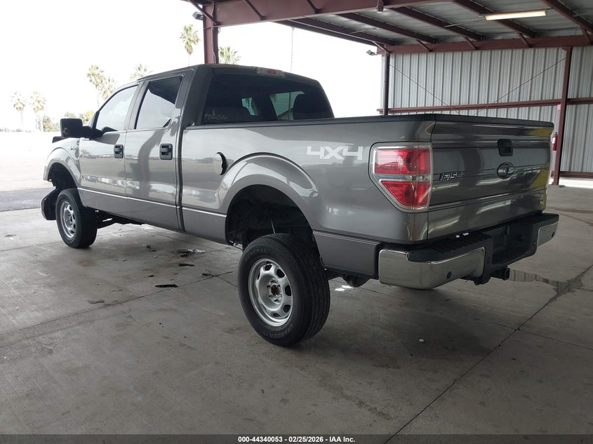2010 Ford F-150 Fx4/Harley-Davidson/King Ranch/Lariat/Platinum/Xl/Xlt