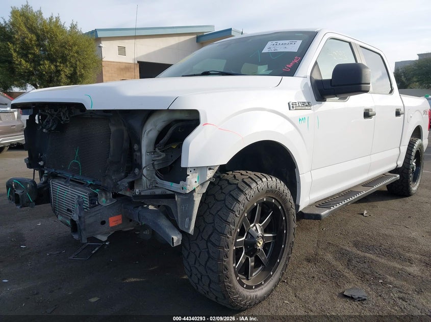 2019 Ford F-150 Xl