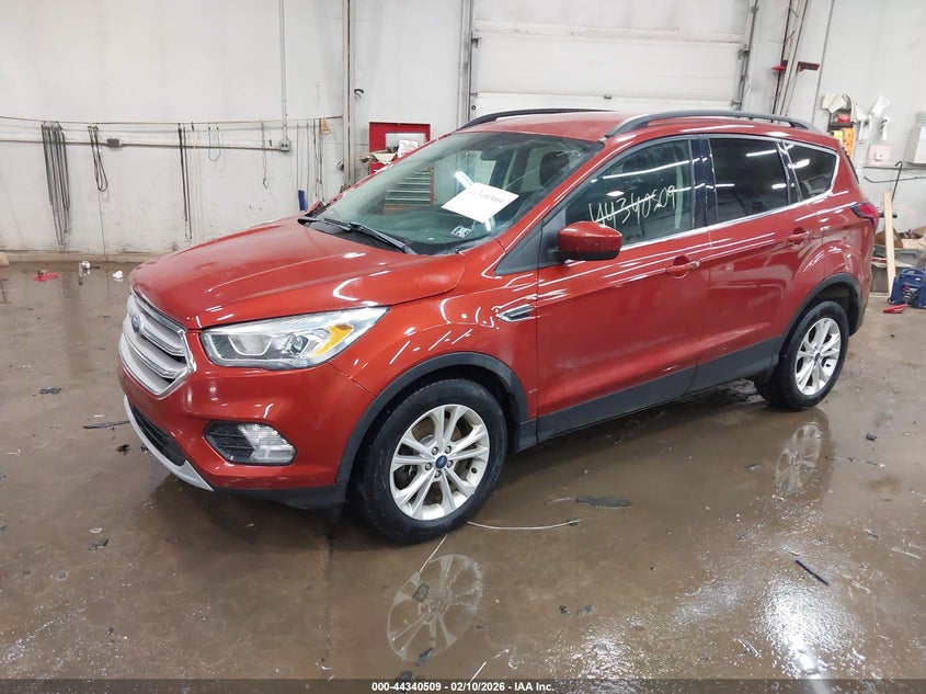 2019 Ford Escape Sel