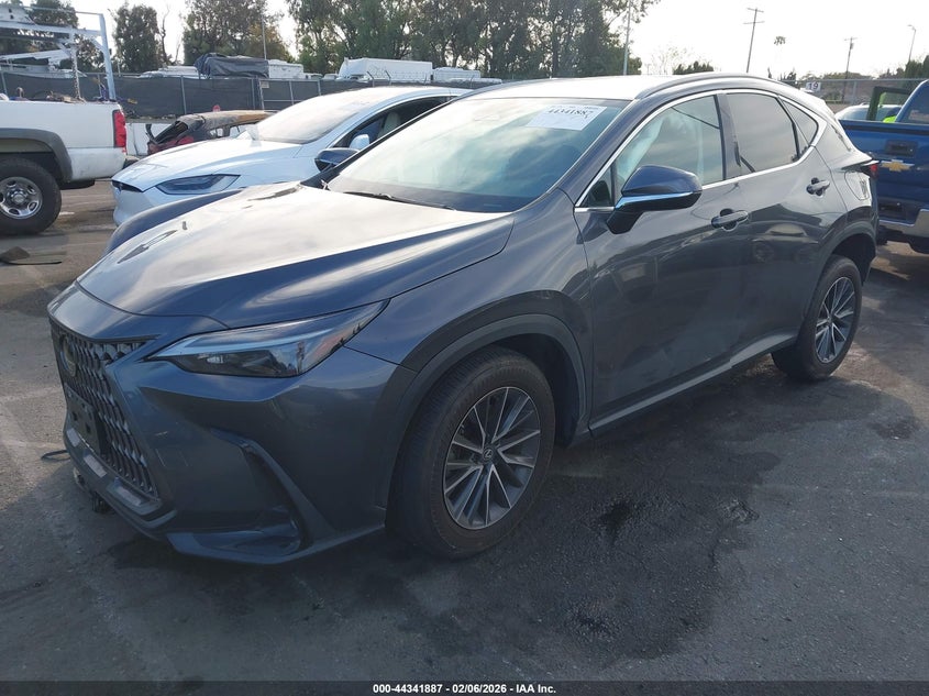 2024 Lexus Nx 350