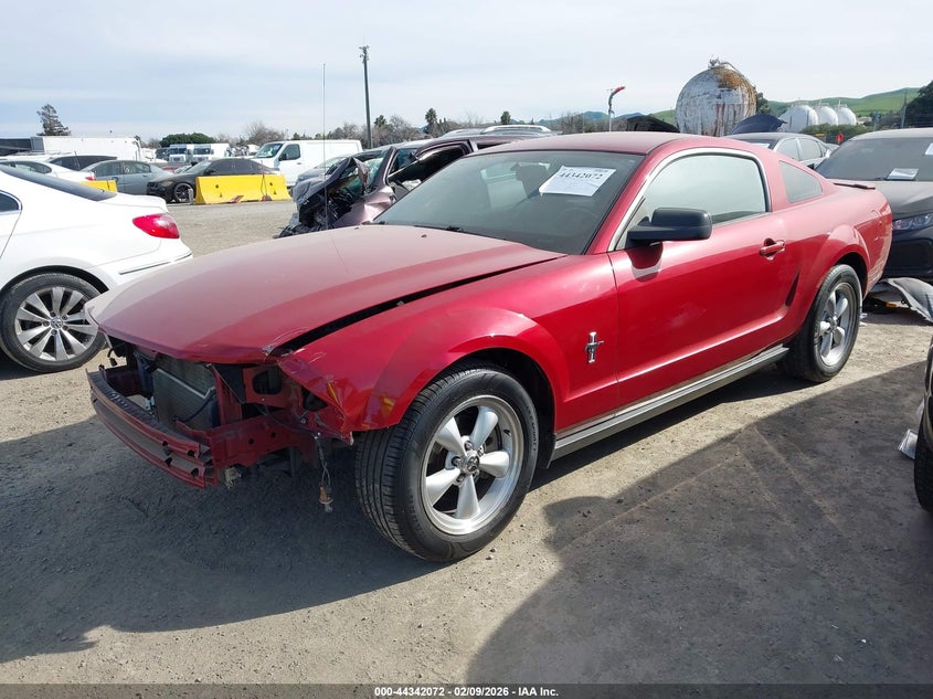 2008 Ford Mustang V6 Deluxe/V6 Premium