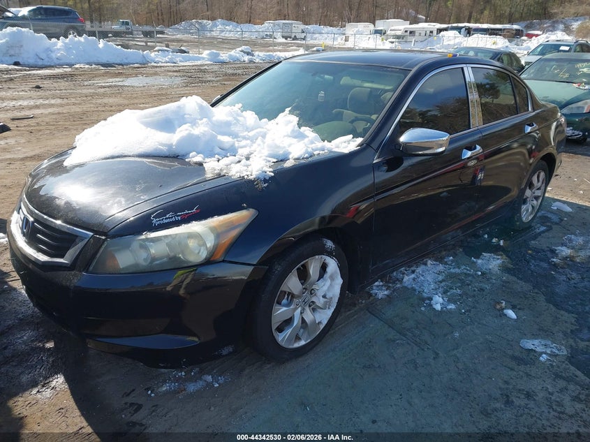 2010 Honda Accord 2.4 Lx