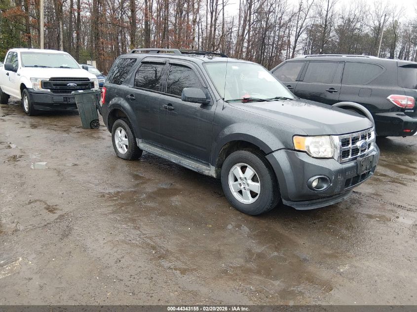 2009 Ford Escape Xlt