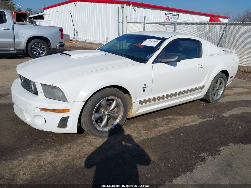 2005 Ford Mustang V6 Deluxe/V6 Premium