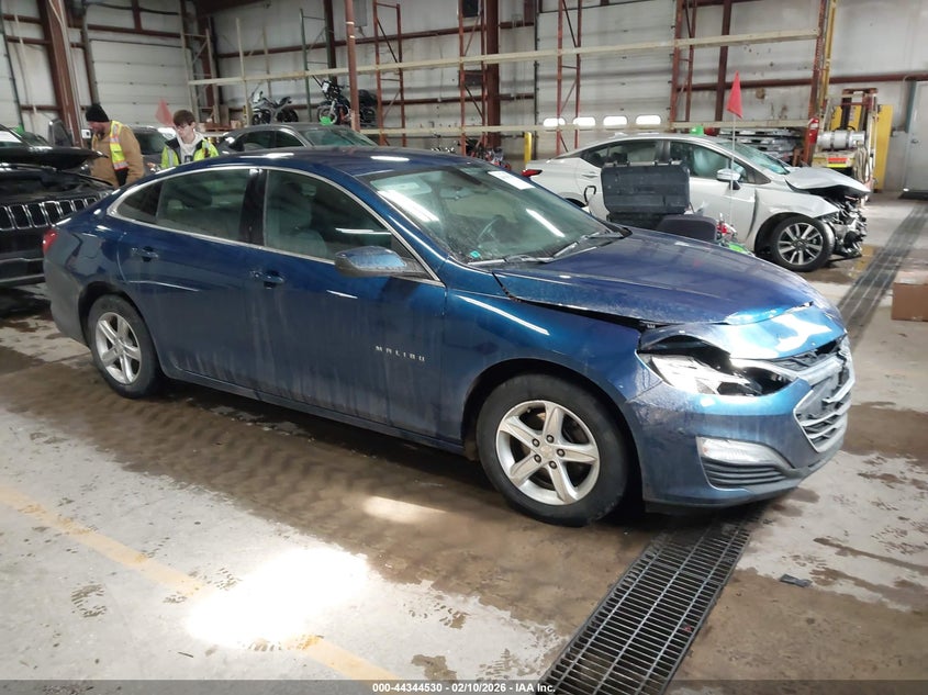 2019 Chevrolet Malibu 1Fl